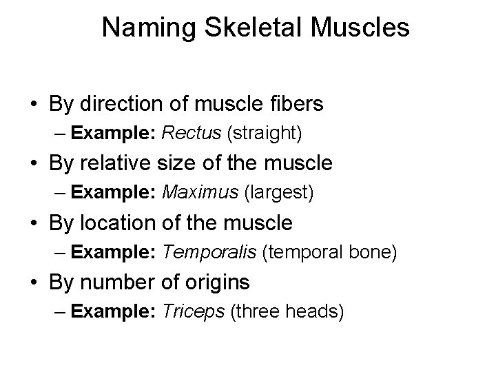 Naming Skeletal Muscles • By direction of muscle fibers – Example: Rectus (straight) •