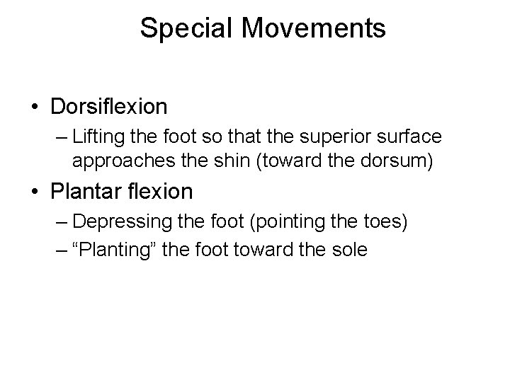 Special Movements • Dorsiflexion – Lifting the foot so that the superior surface approaches