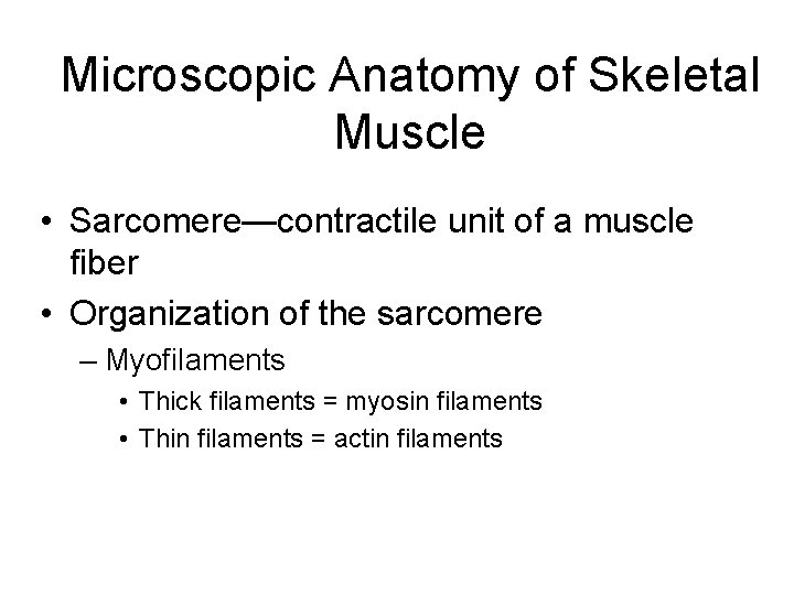 Microscopic Anatomy of Skeletal Muscle • Sarcomere—contractile unit of a muscle fiber • Organization