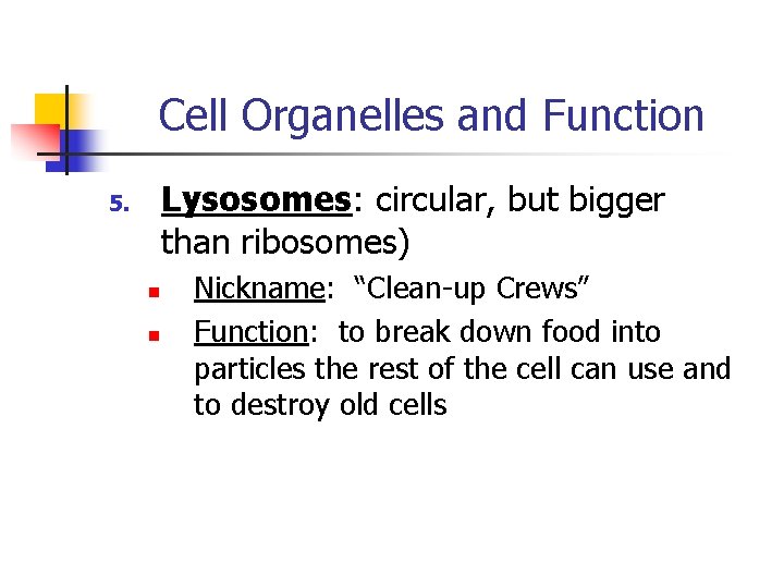 Cell Organelles and Function Lysosomes: circular, but bigger than ribosomes) 5. n n Nickname: