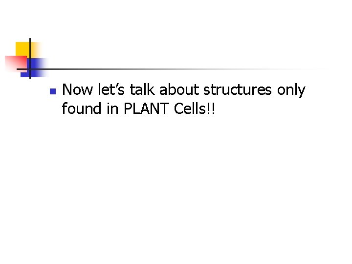 n Now let’s talk about structures only found in PLANT Cells!! 