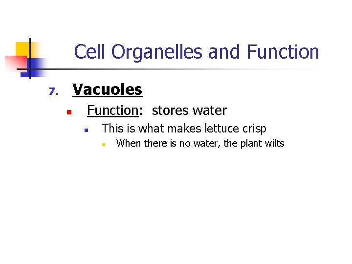 Cell Organelles and Function Vacuoles 7. n Function: stores water n This is what