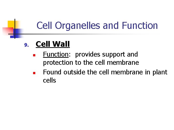 Cell Organelles and Function Cell Wall 9. n n Function: provides support and protection
