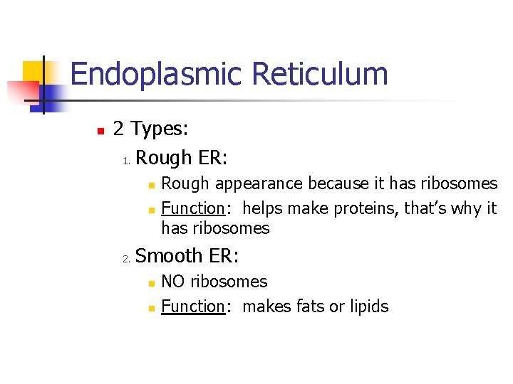 Endoplasmic Reticulum n 2 Types: 1. Rough ER: n n 2. Rough appearance because