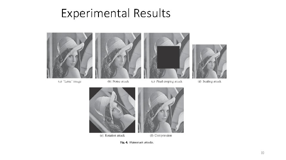 Experimental Results 10 