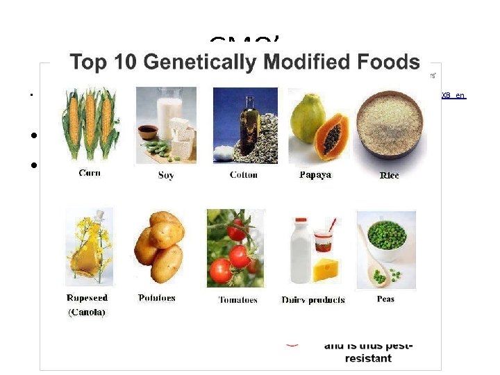 GMO’s • http: //www. google. com/search? q=examples+of+genetically+modified+organisms&safe=active&rlz=1 C 1 WLXB_en US 559 US 563&espv=210&es_sm=93&tbm=nws&source=lnms&sa=X&ei=zjh.