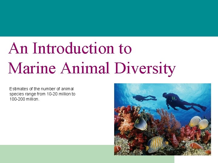 An Introduction to Marine Animal Diversity Estimates of
