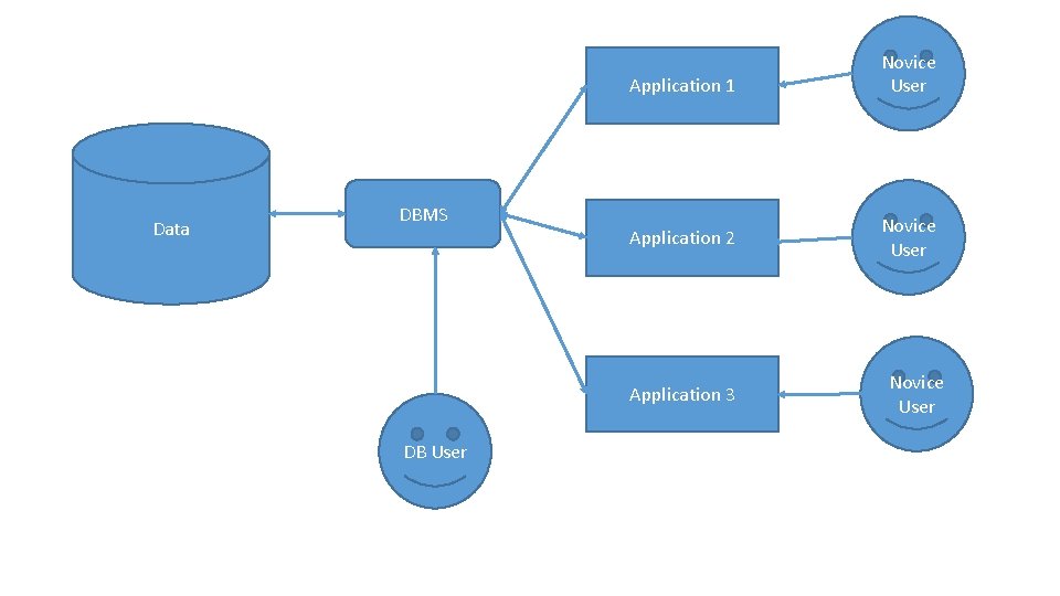 Application 1 Data DBMS Application 2 Application 3 DB User Novice User 
