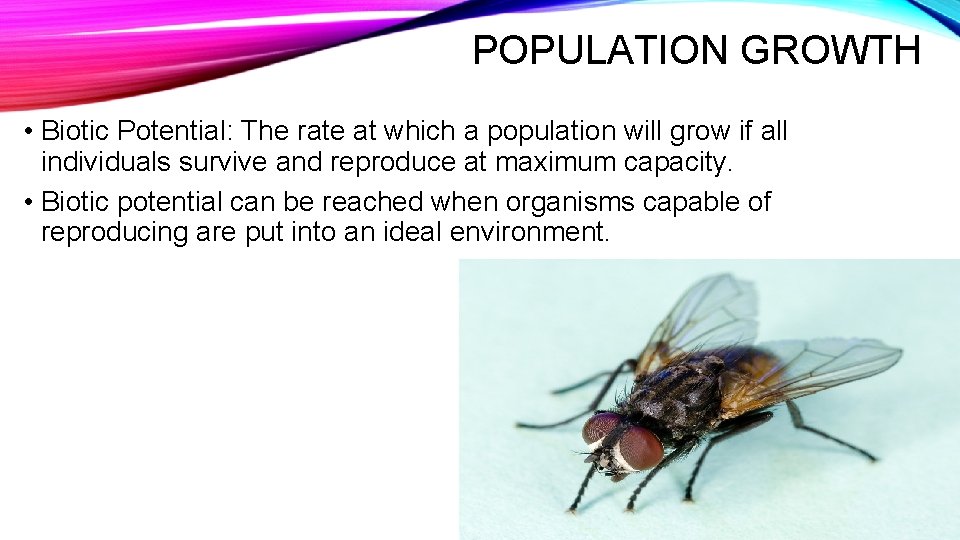 POPULATION GROWTH • Biotic Potential: The rate at which a population will grow if