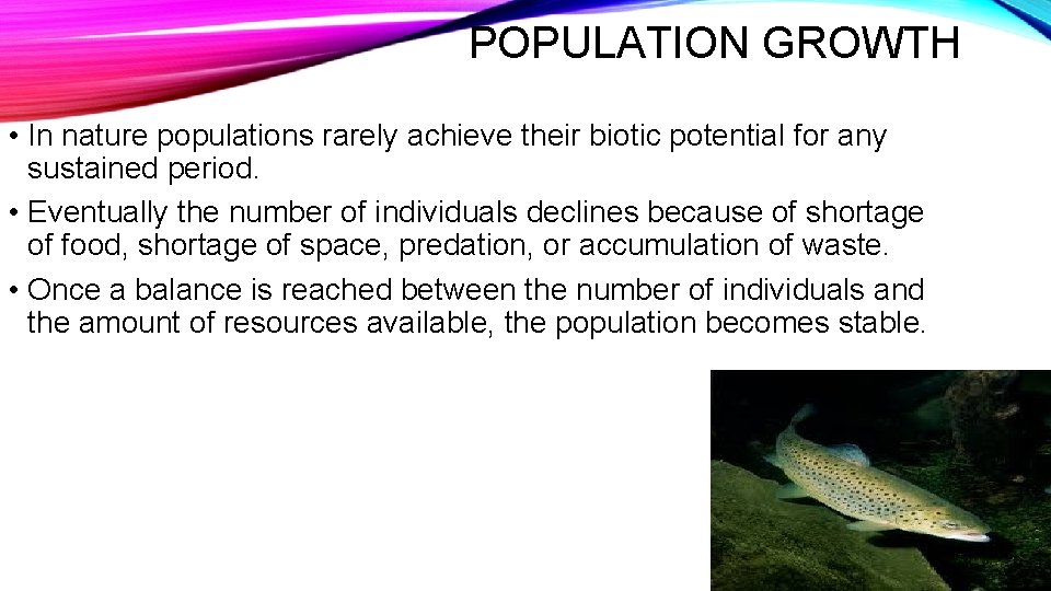 POPULATION GROWTH • In nature populations rarely achieve their biotic potential for any sustained