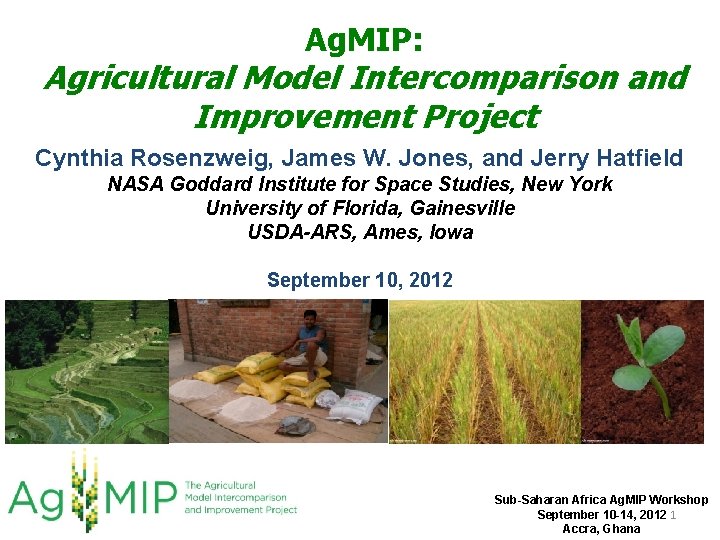 Ag. MIP: Agricultural Model Intercomparison and Improvement Project Cynthia Rosenzweig, James W. Jones, and