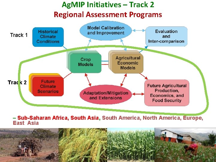 Ag. MIP Initiatives – Track 2 Regional Assessment Programs Track 1 Track 2 –