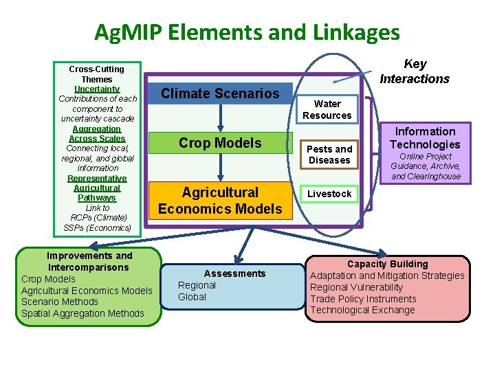 Ag. MIP Elements and Linkages Cross-Cutting Themes Uncertainty Contributions of each component to uncertainty