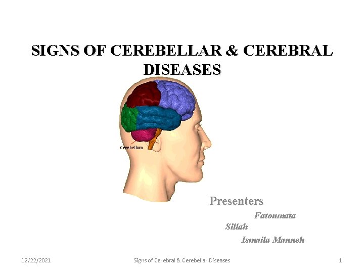 SIGNS OF CEREBELLAR CEREBRAL DISEASES Presenters Fatoumata Sillah