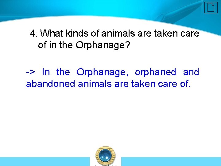 4. What kinds of animals are taken care of in the Orphanage? -> In