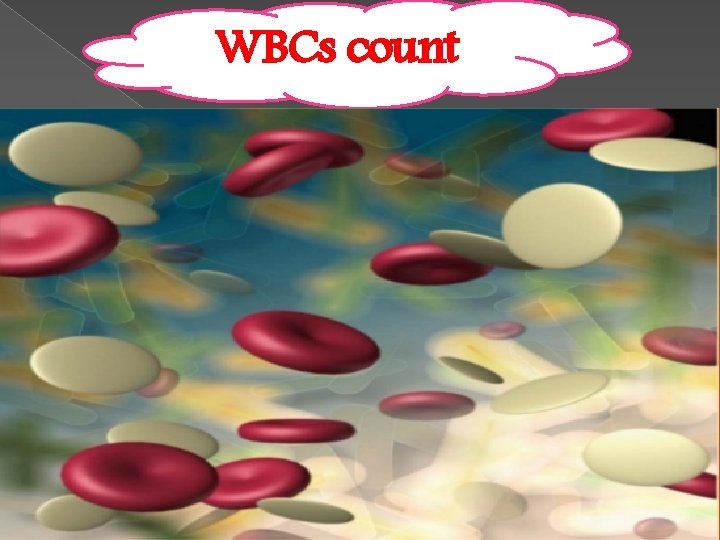 WBCs count 