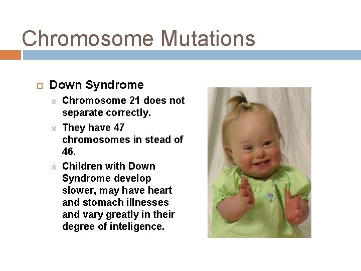 Chromosome Mutations Down Syndrome Chromosome 21 does not separate correctly. They have 47 chromosomes