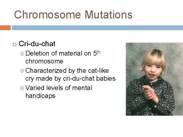 Chromosome Mutations Cri-du-chat Deletion of material on 5 th chromosome Characterized by the cat-like