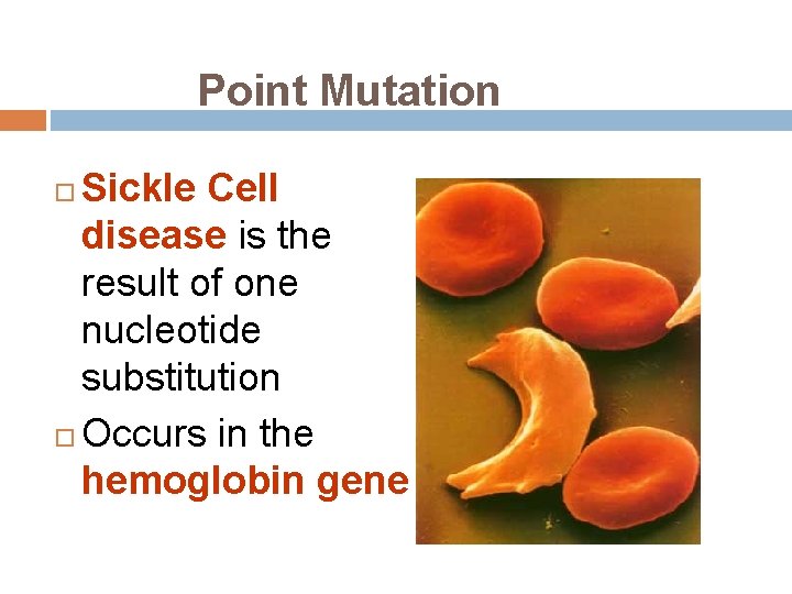 Point Mutation Sickle Cell disease is the result of one nucleotide substitution Occurs in