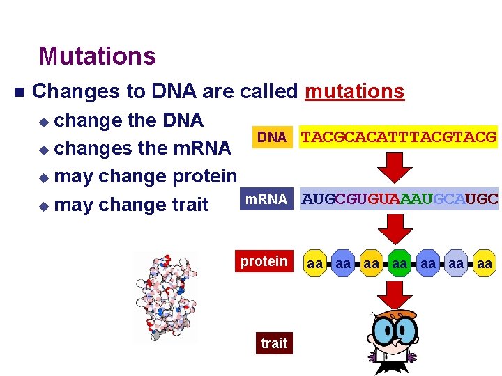 Mutations Changes to DNA are called mutations change the DNA u changes the m.