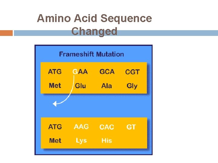 Amino Acid Sequence Changed 