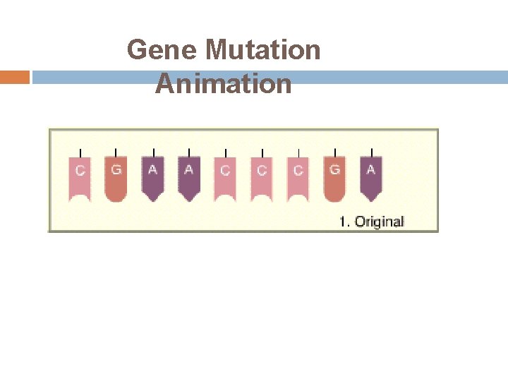 Gene Mutation Animation 