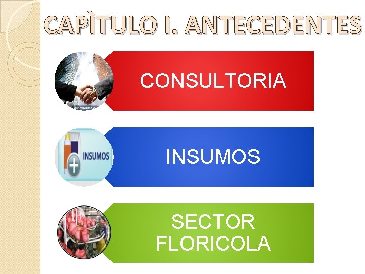 CAPÌTULO I. ANTECEDENTES CONSULTORIA INSUMOS SECTOR FLORICOLA 