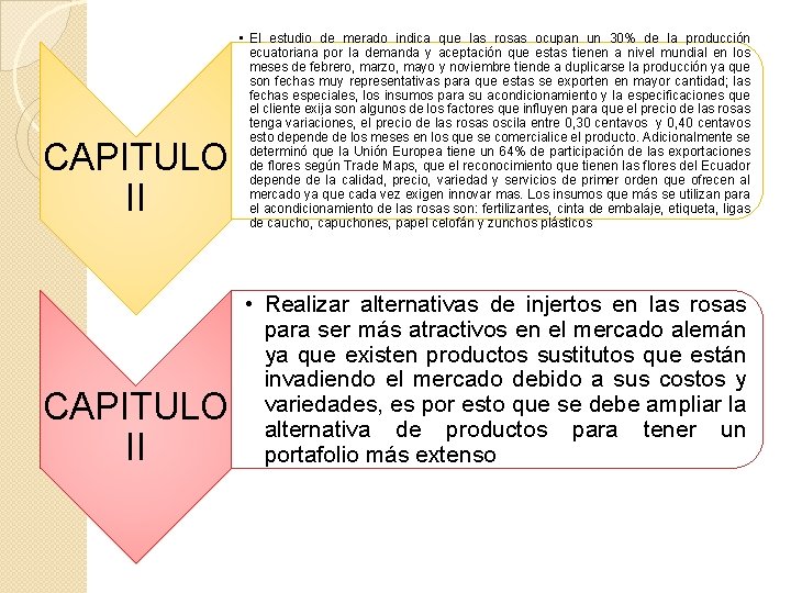 CAPITULO II • El estudio de merado indica que las rosas ocupan un 30%