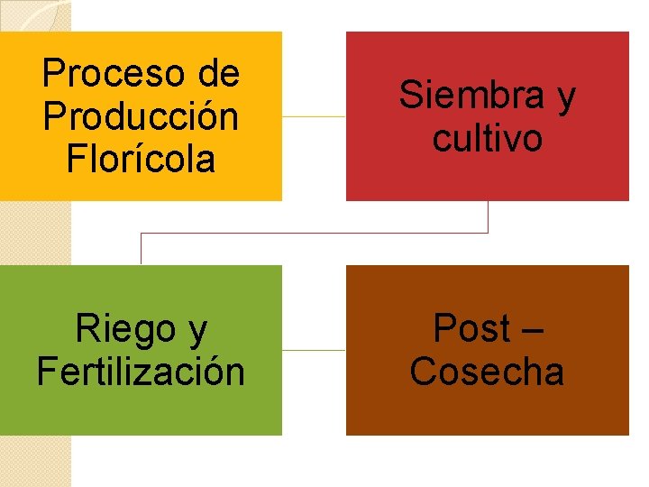 Proceso de Producción Florícola Siembra y cultivo Riego y Fertilización Post – Cosecha 