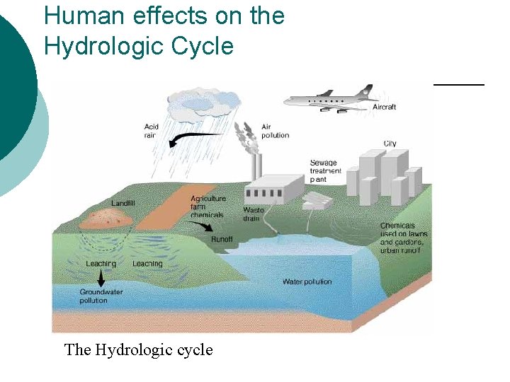 Human effects on the Hydrologic Cycle The Hydrologic cycle 