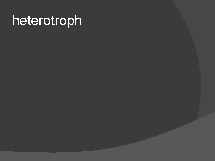 heterotroph 