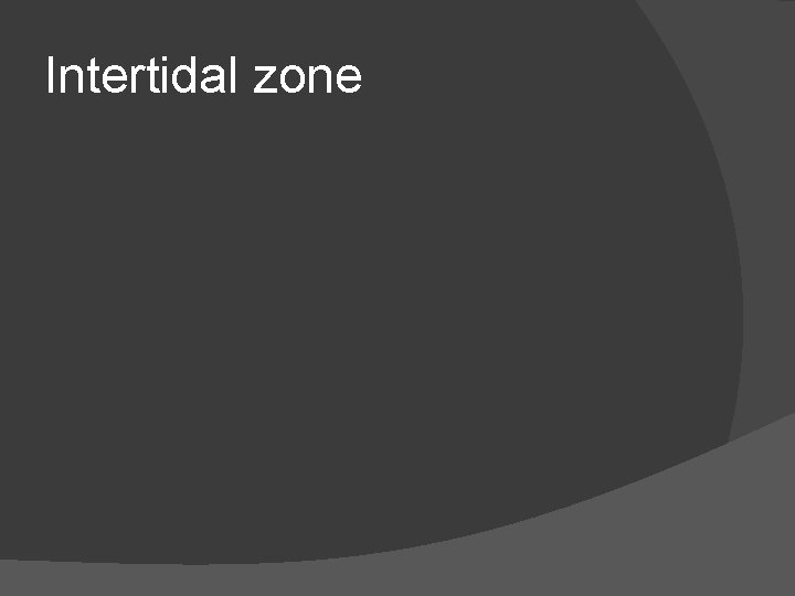 Intertidal zone 