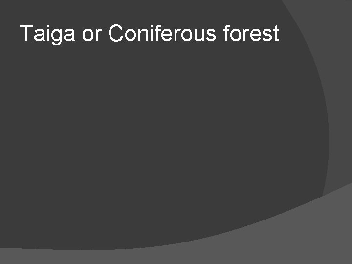 Taiga or Coniferous forest 