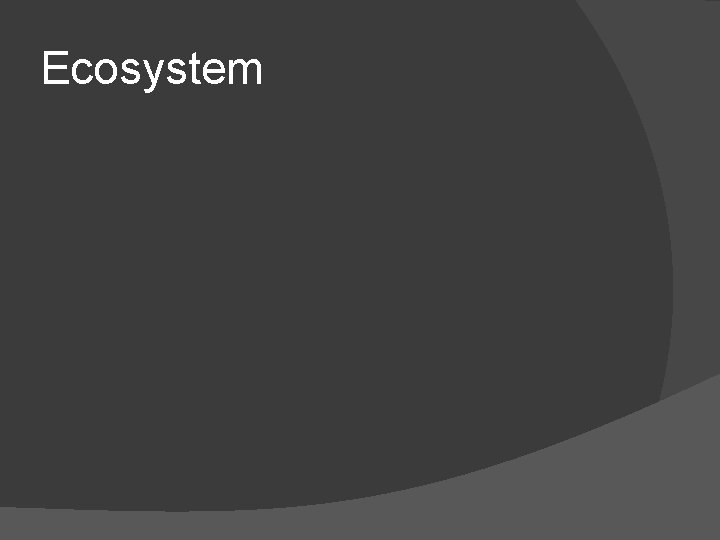 Ecosystem 