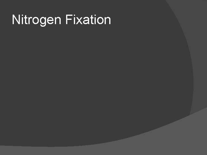 Nitrogen Fixation 