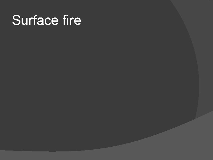 Surface fire 