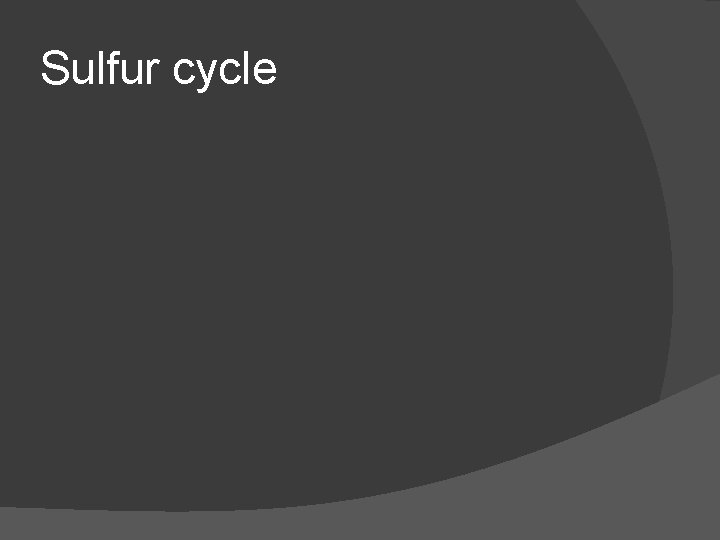 Sulfur cycle 