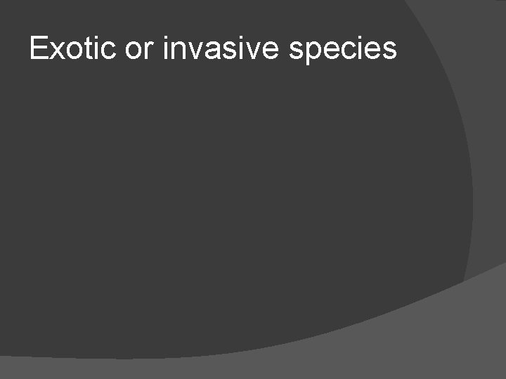 Exotic or invasive species 