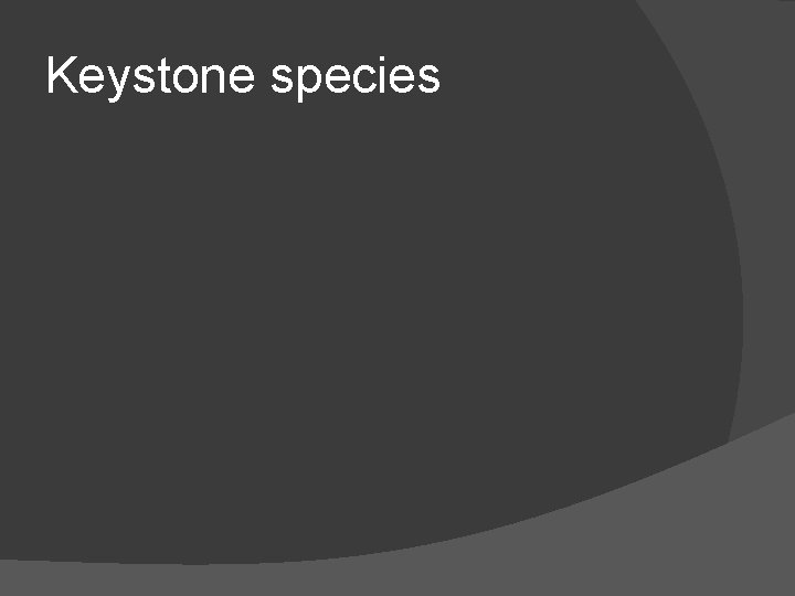 Keystone species 