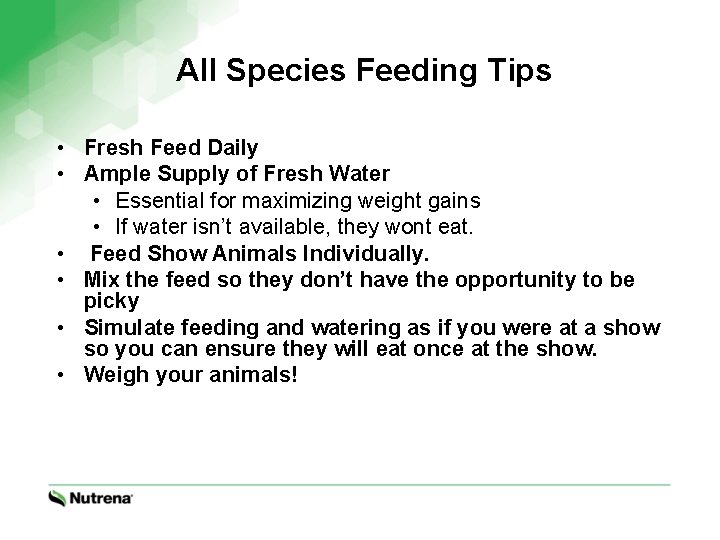 All Species Feeding Tips • Fresh Feed Daily • Ample Supply of Fresh Water