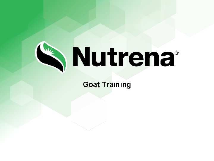 Goat Training 