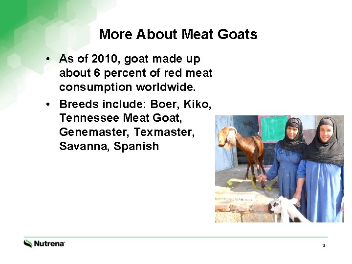 More About Meat Goats • As of 2010, goat made up about 6 percent