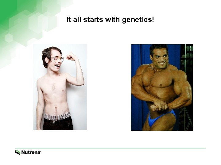 It all starts with genetics! 