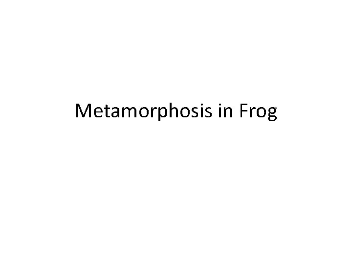 Metamorphosis in Frog 
