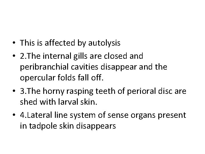  • This is affected by autolysis • 2. The internal gills are closed