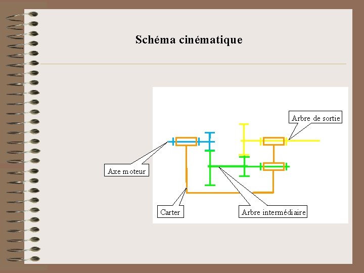 Schéma cinématique Arbre de sortie Axe moteur Carter Arbre intermédiaire 