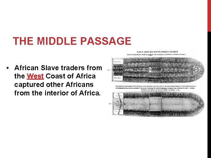 THE MIDDLE PASSAGE • African Slave traders from the West Coast of Africa captured