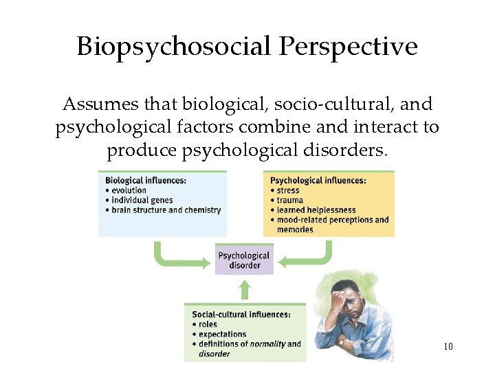 Biopsychosocial Perspective Assumes that biological, socio-cultural, and psychological factors combine and interact to produce