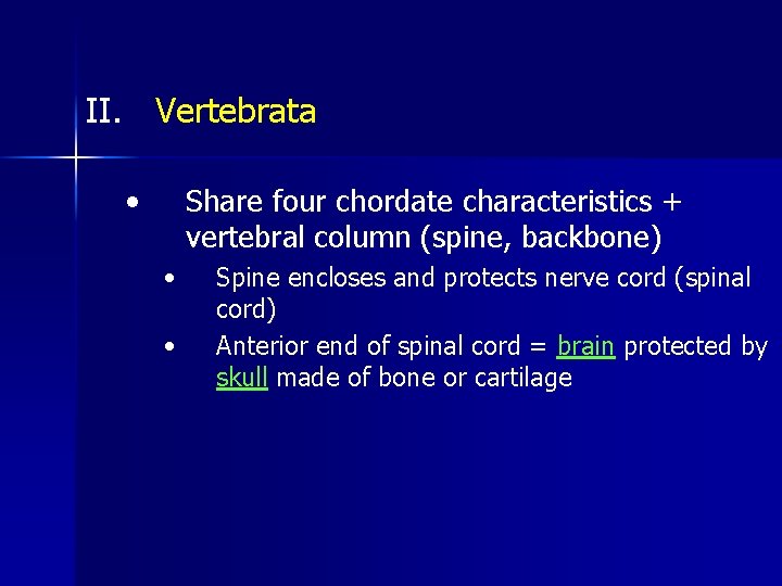 II. Vertebrata • Share four chordate characteristics + vertebral column (spine, backbone) • •