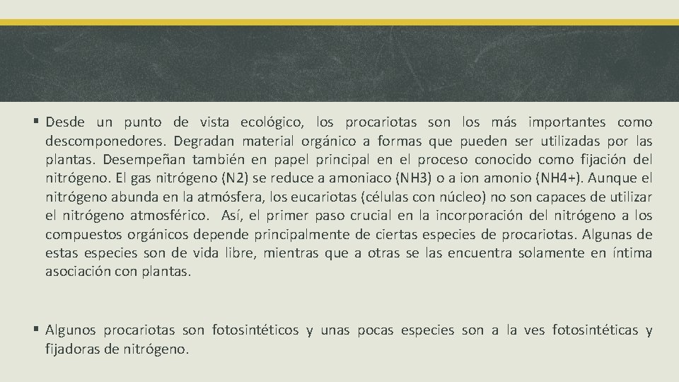 § Desde un punto de vista ecológico, los procariotas son los más importantes como